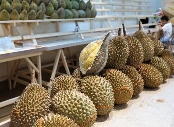 Thai producers complain of China’s imposition of GMP on durian