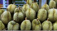 c90bd708 durian fruit