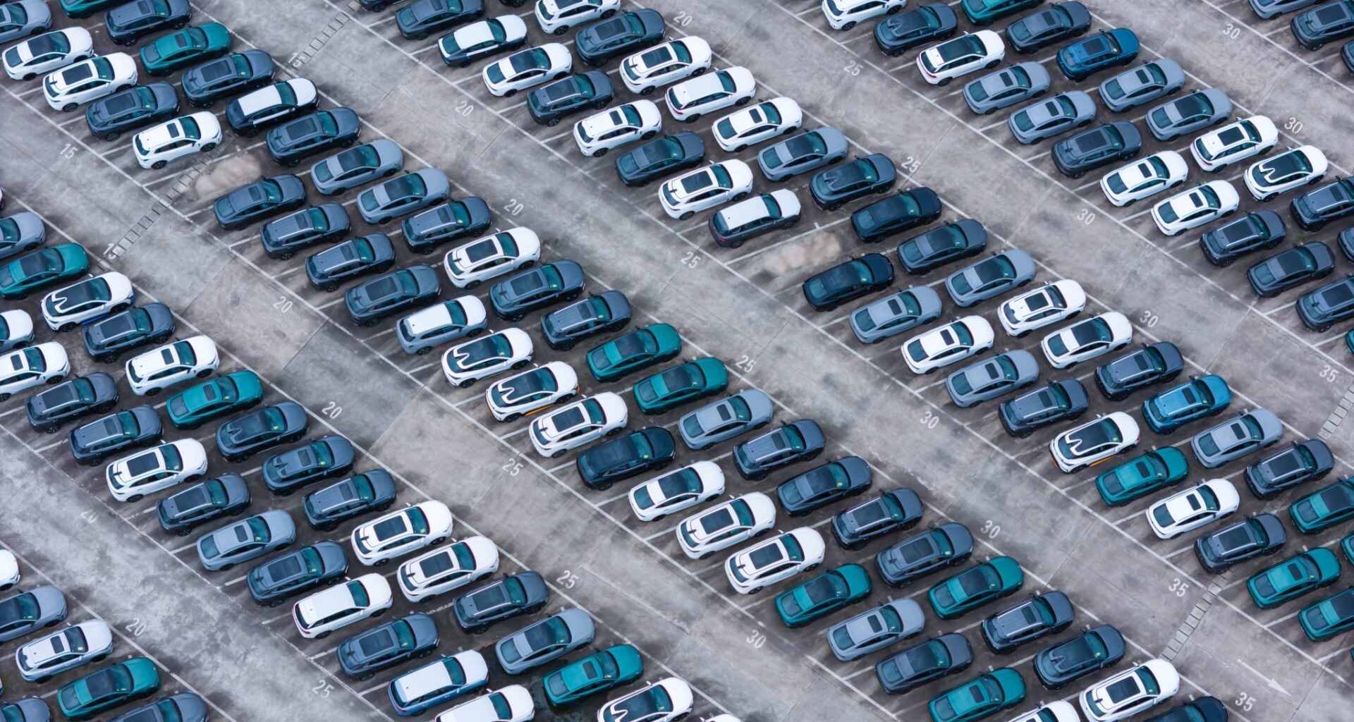 New energy vehicles are parked at Changan Automobile Distribution Center in Chongqing, China, November 12, 2023 (Photo: REUTERS/Costfoto/NurPhoto)