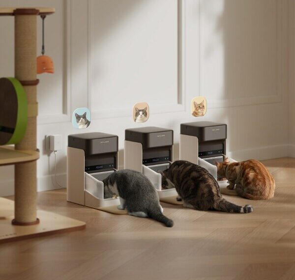 PETLIBRO’s latest feeder uses RFID pet recognition technology to accurately identify a designated pet before feeding