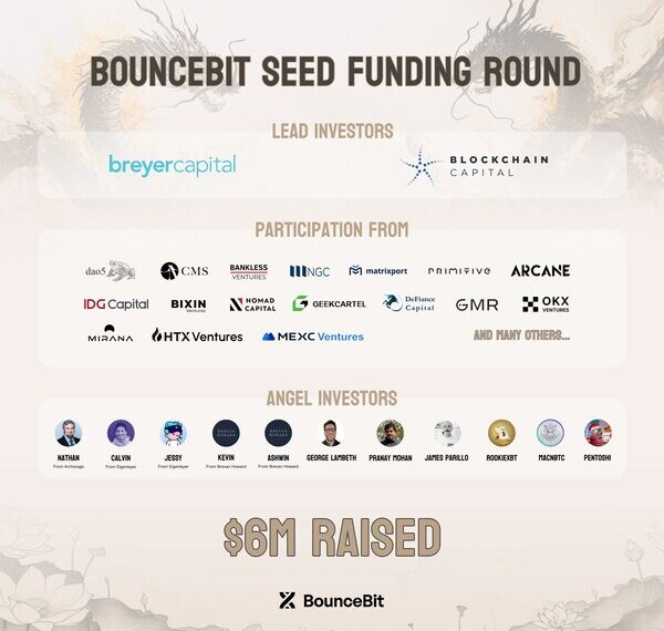 BounceBit Seed Funding Round Investor List
