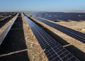 Unleashing Workers in China’s Solar Supply Chain