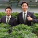 Thailand’s Cannabis Rush: A Budding Opportunity Amidst Regulatory Changes