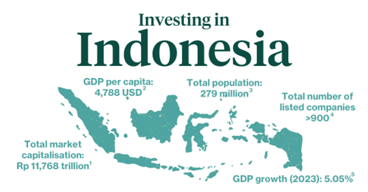The Indonesian Stock Market’s Surging Growth