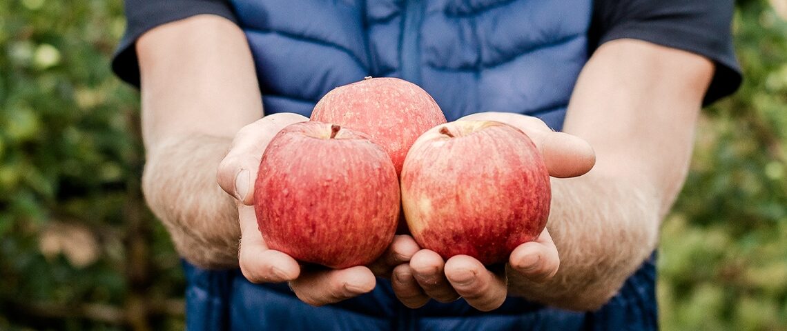 blue whale apple