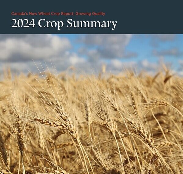 Cereals Canada Canada Releases its 2024 New Wheat Crop Report